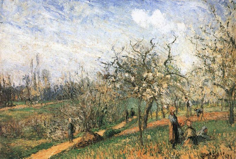 Pang map of apple Schwarz, Camille Pissarro